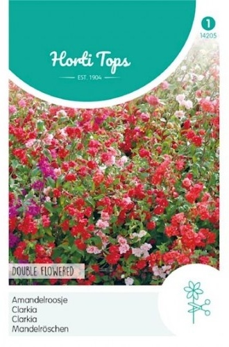 Godetia, Clarkia unguiculata Elegans Double Mixed cca 1 g